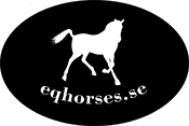 Eqhorses